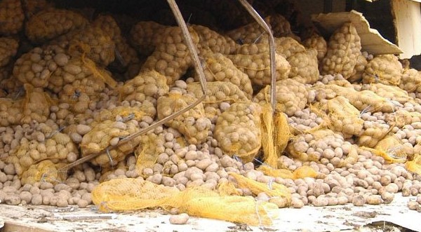 картофи