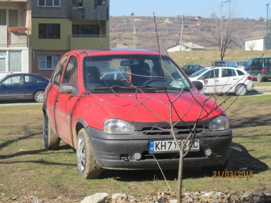 идиотско паркиране