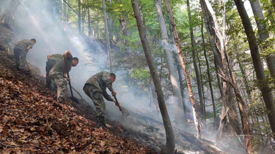 армията и пожарите