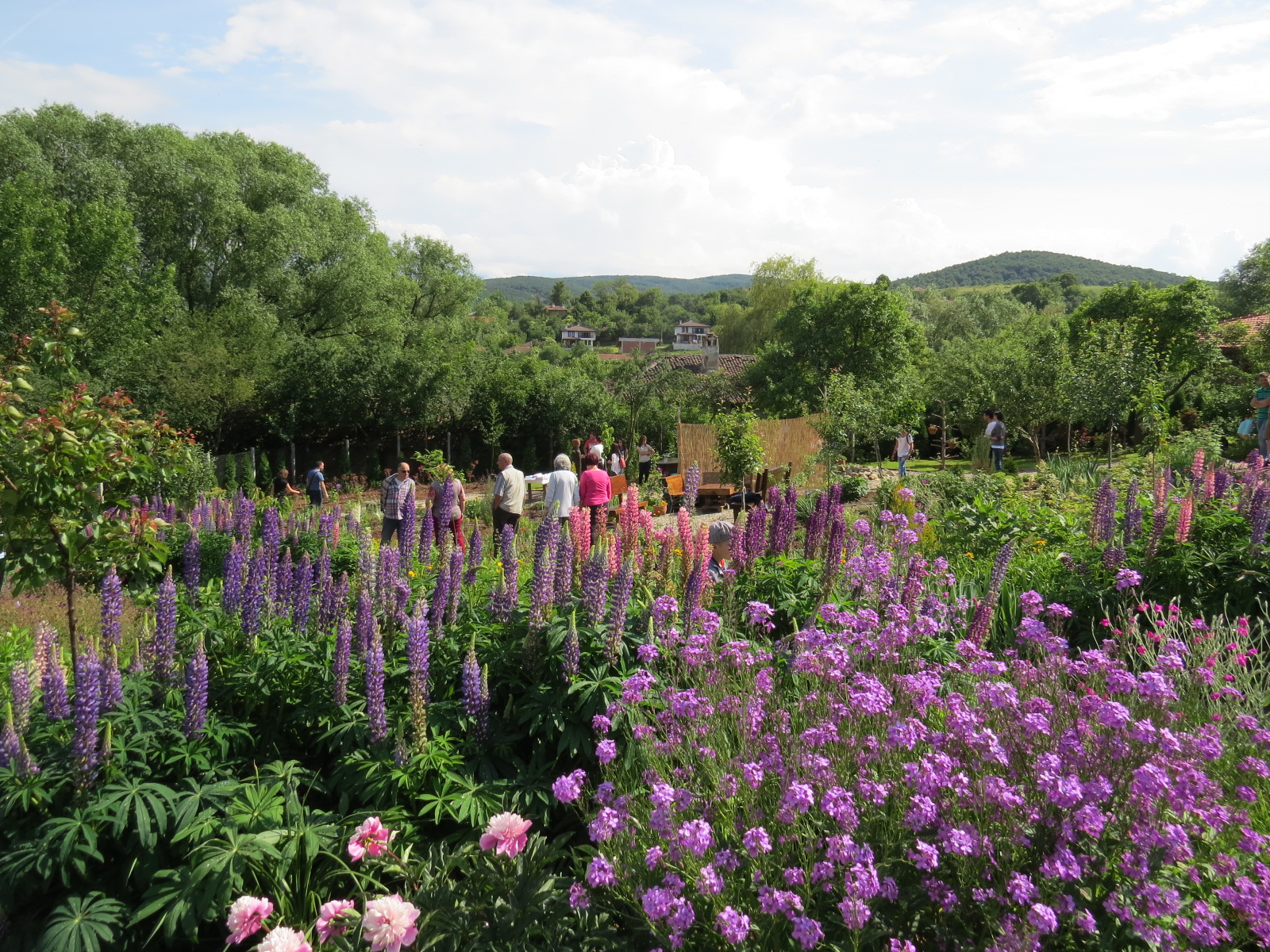 ботаническа градина