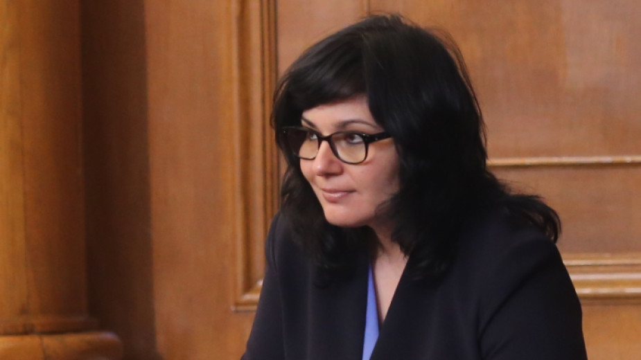 проф. Асена Стоименова