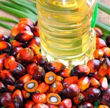 палмово масло