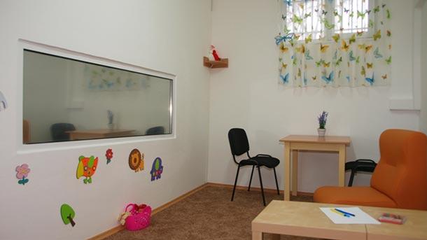 Синя стая МВР