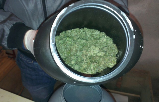 листа марихуана