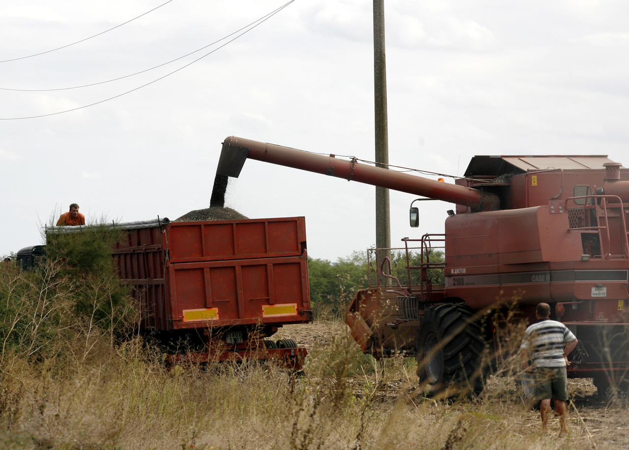 реколтакомбайнжито