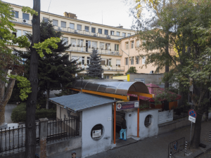 шейново