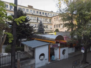 шейново
