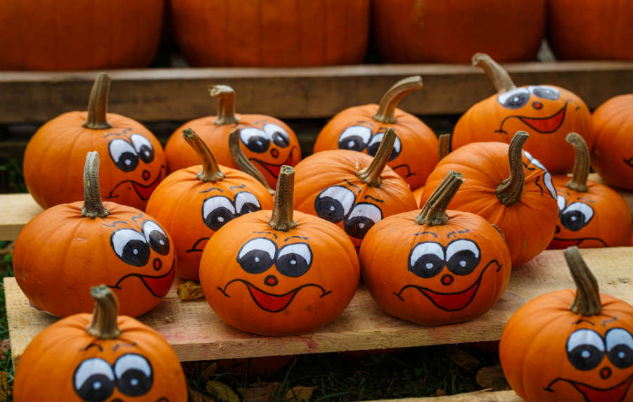 хелоуин всс