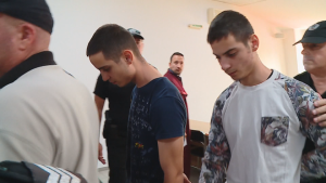 близнаците от цалапица
