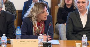 владислава цариградска