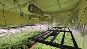 Модерна наркооранжерия беше открита във Варна