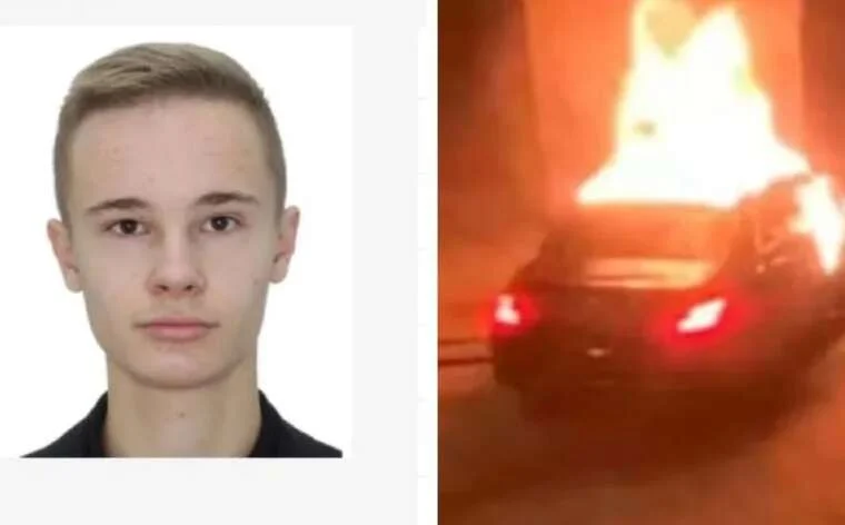 убийство виена