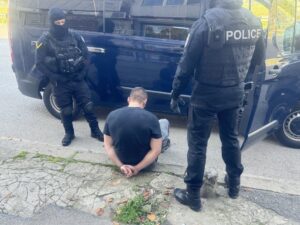 отряд кобра
