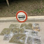 Спипаха турчин с марихуана и кокаин покрай авокадо и манго