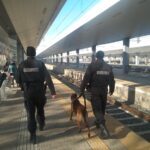 Жандармерията излиза на терен за празниците